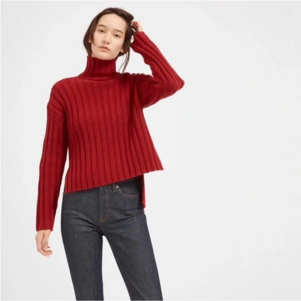 Everlane Red Turtleneck Sweater
